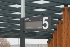 DSC06165-m DSC06165-m