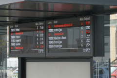 DSC06238-m DSC06238-m